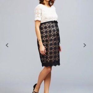 A Pea in the Pod Colorblock Lace Maternity Dress